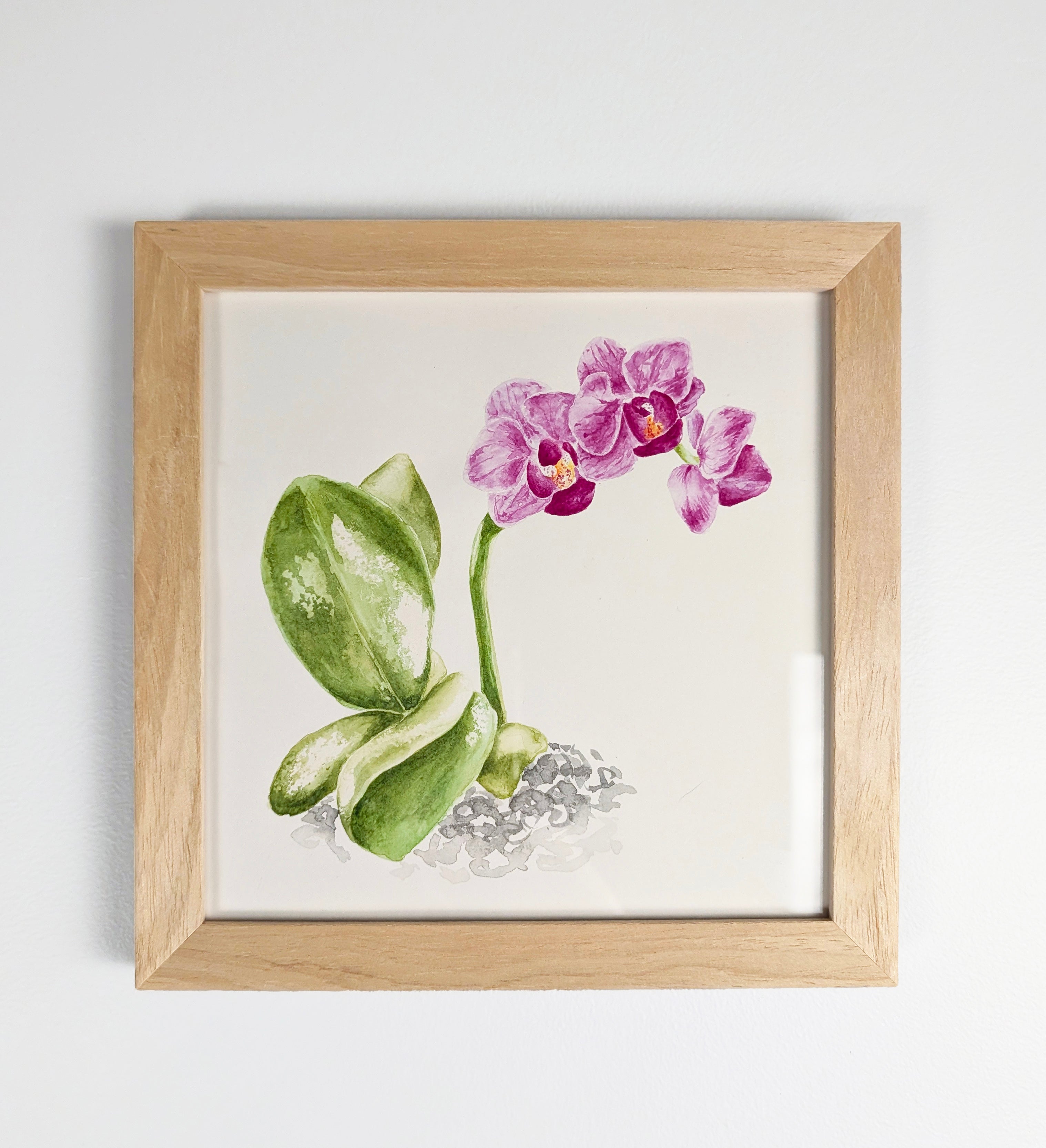 Introductory Floral Watercolour Class - 11th July