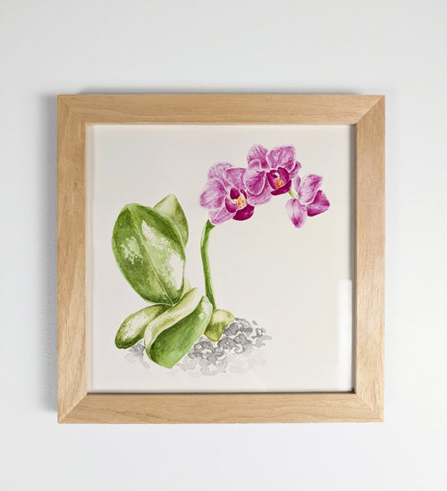 Introductory Floral Watercolour Class - 11th July